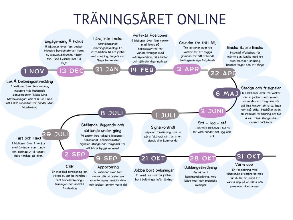 onlinesatsningen med bonus timeline